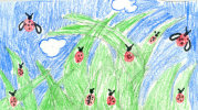 Lady Bugs