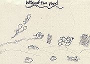 The Living Pond, Bottom 01/01