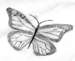 Butterfly 01/06