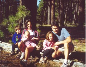 How many bugs are under this log?